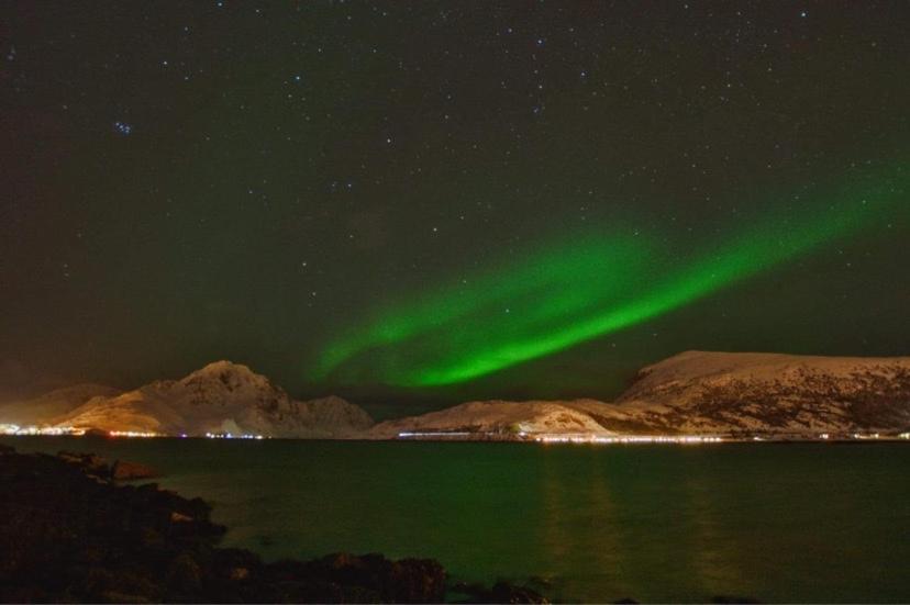 Rorbu I Lofoten Leknes Bagian luar foto