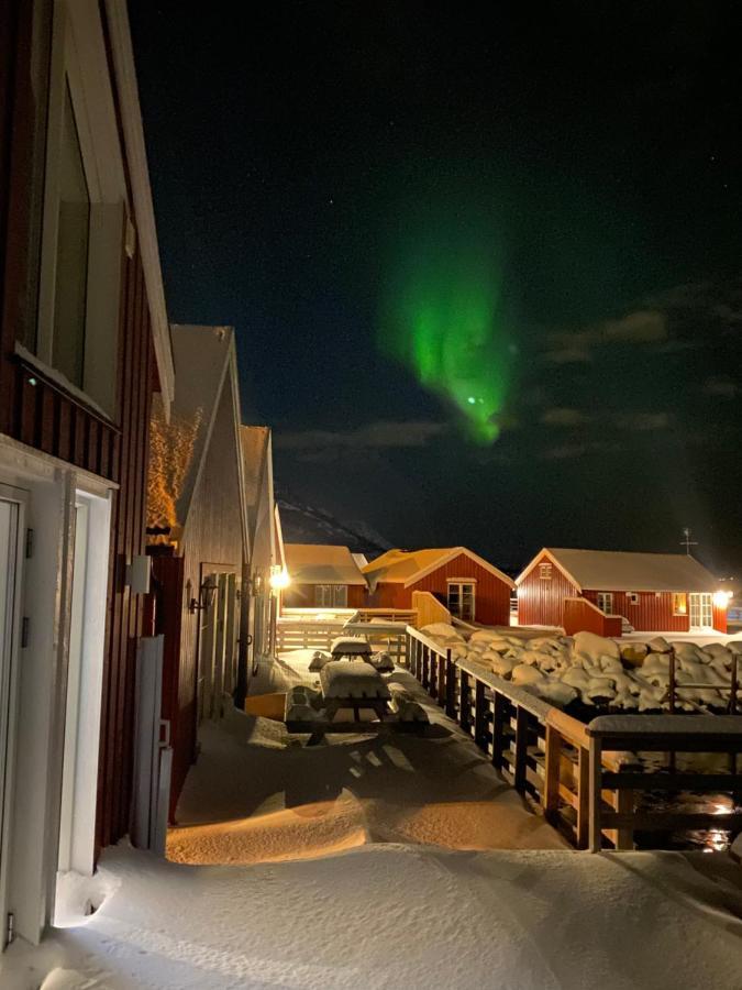 Rorbu I Lofoten Leknes Bagian luar foto